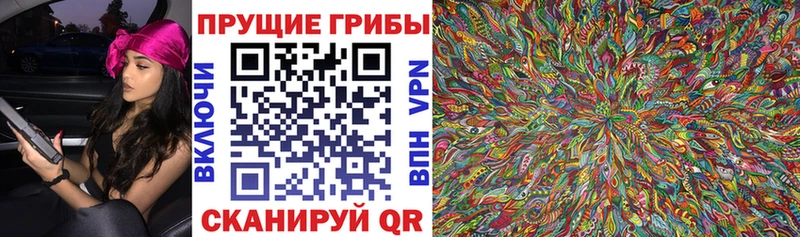где купить Омск блэк спрут онион Галлюциногенные грибы мухоморы