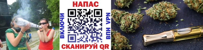 где купить наркотик  Омск  Канабис SATIVA & INDICA 